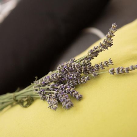 Apartments Villa Zara ลอฟราน ภายนอก รูปภาพ